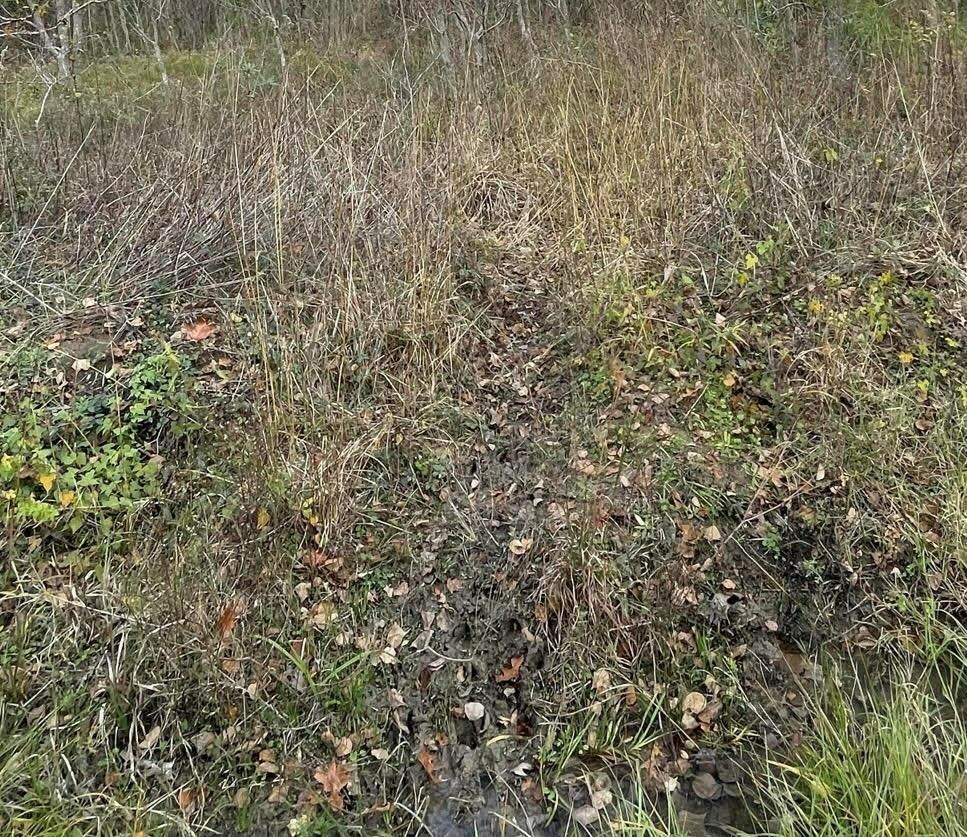 Property Photo:  Tbd Casey Road  TX 75901 