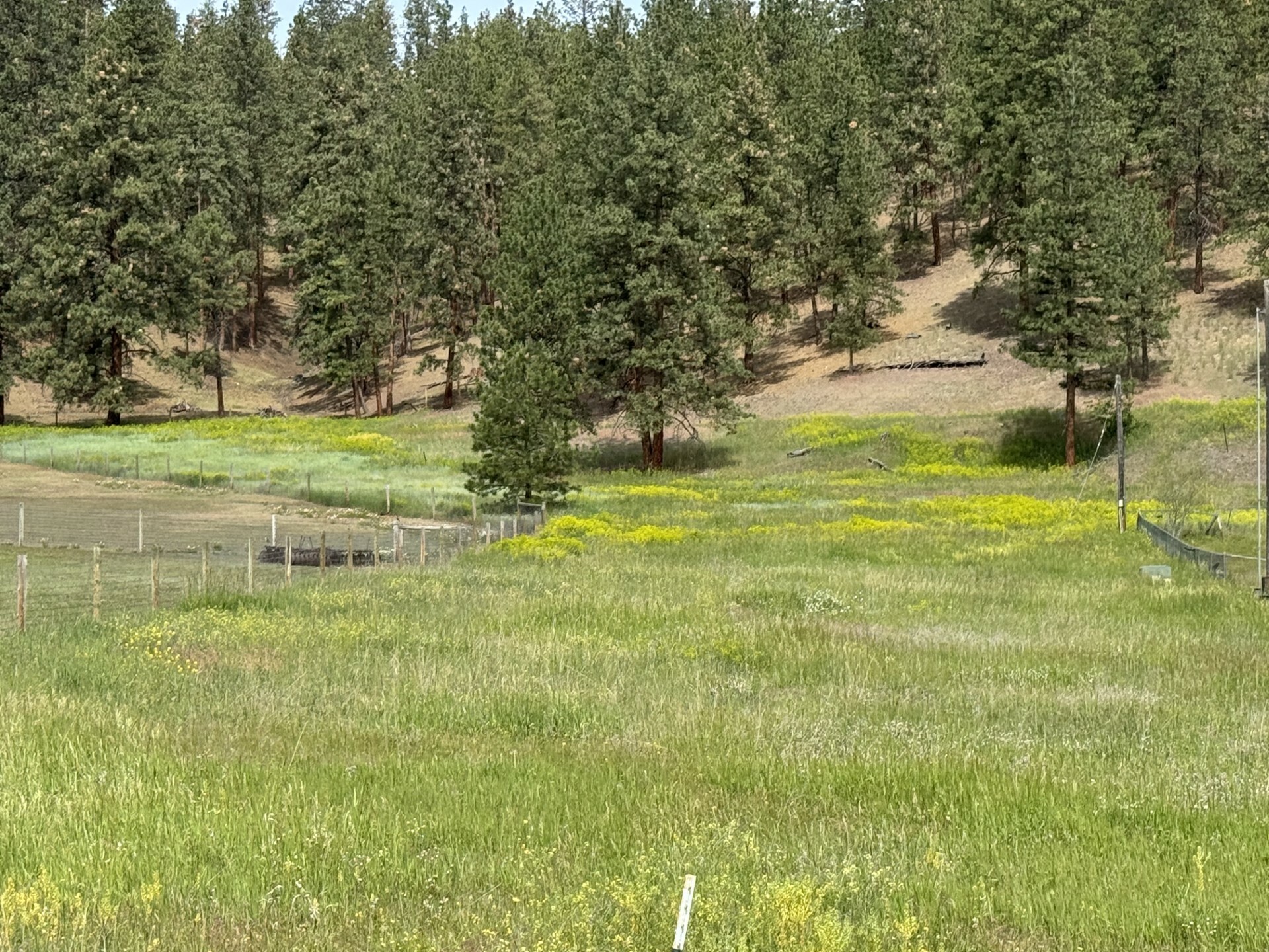 Property Photo: Parcel C Hwy 93 S MT 59804