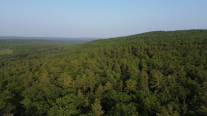 Property Photo: 175 Valley Road NH 03855