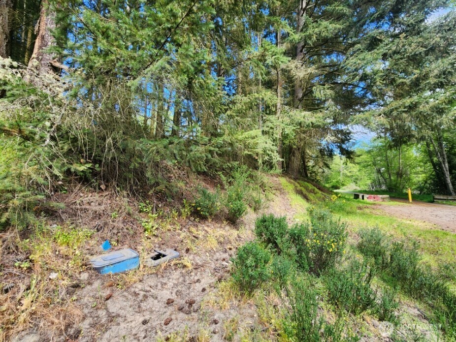 Property Photo: 936 Gasman WA 98362