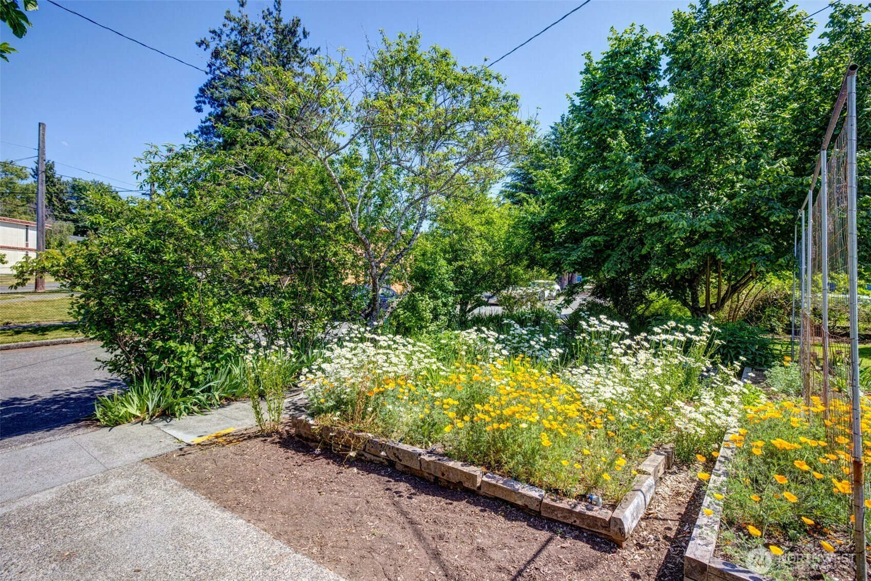 Property Photo: 9507 59th Avenue S WA 98118