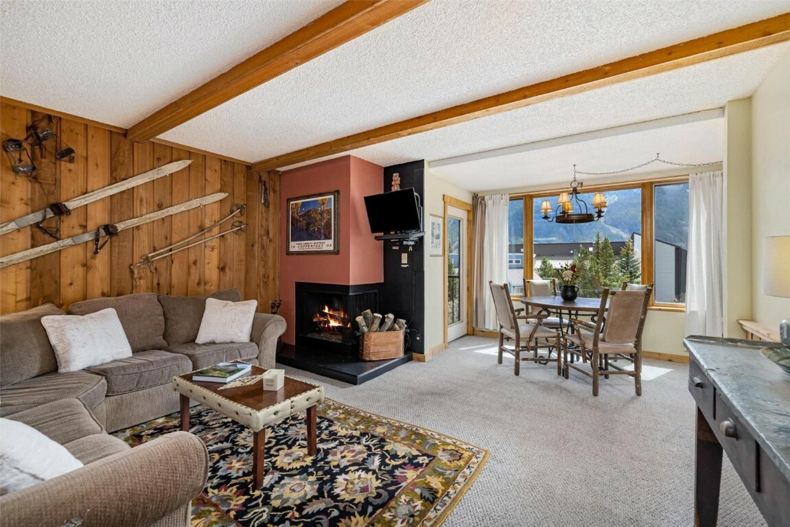 Property Photo: 88 Guller Road 303 CO 80443