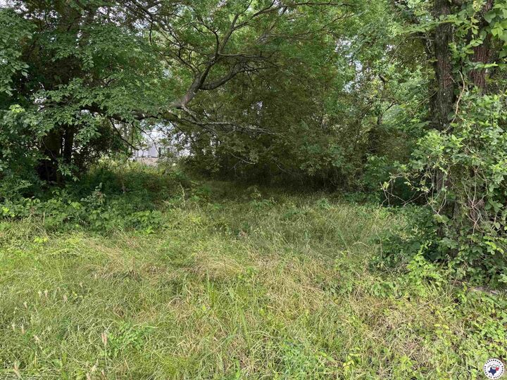 Property Photo:  1215 S Lake Drive  TX 75501 