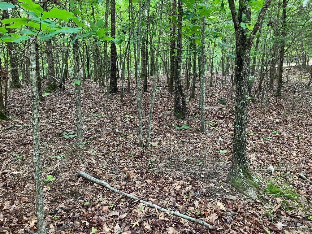 Property Photo:  Tbd Tract 2 Thompson Creek Lane  AR 71953 