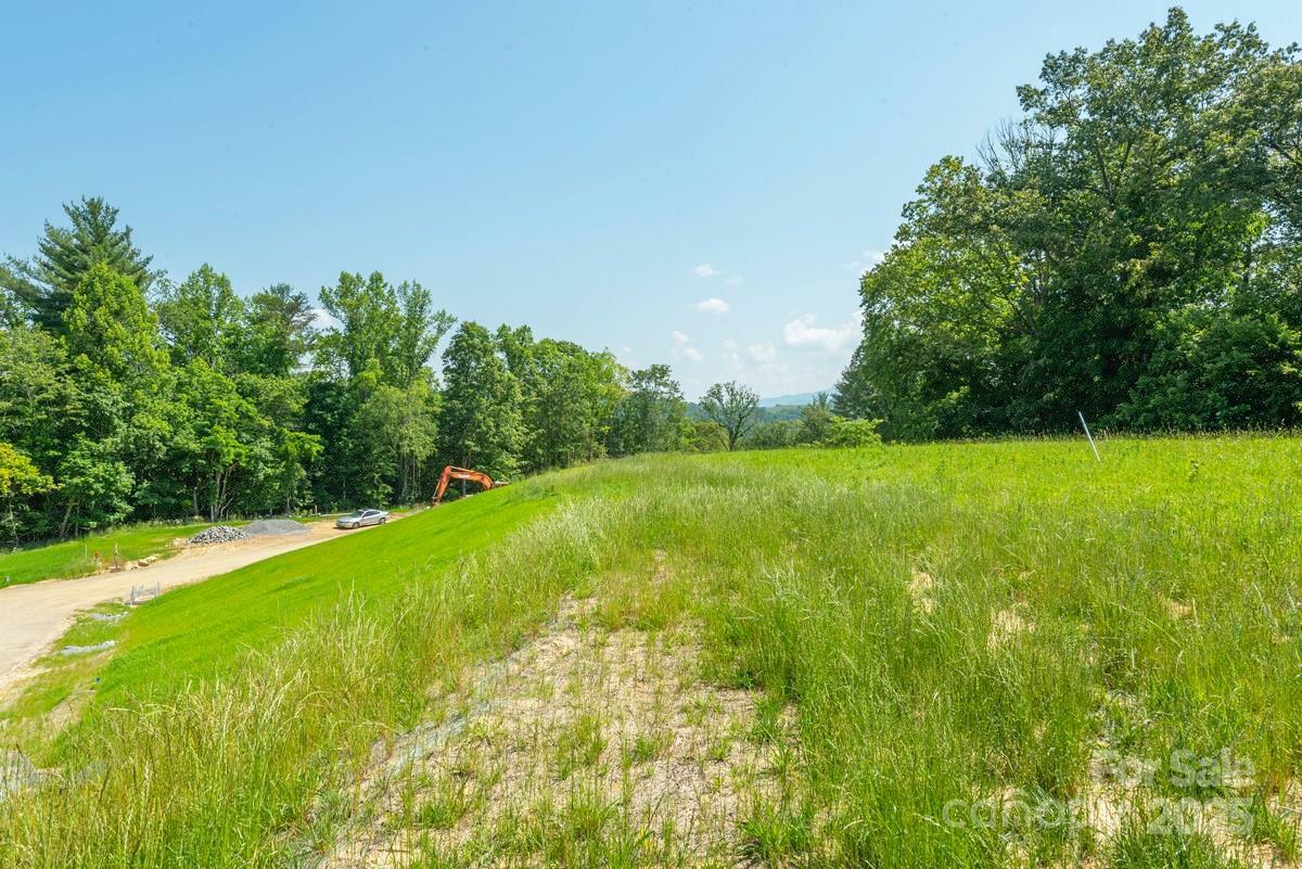 116 Lilikoi Lane 95  Asheville NC 28804 photo