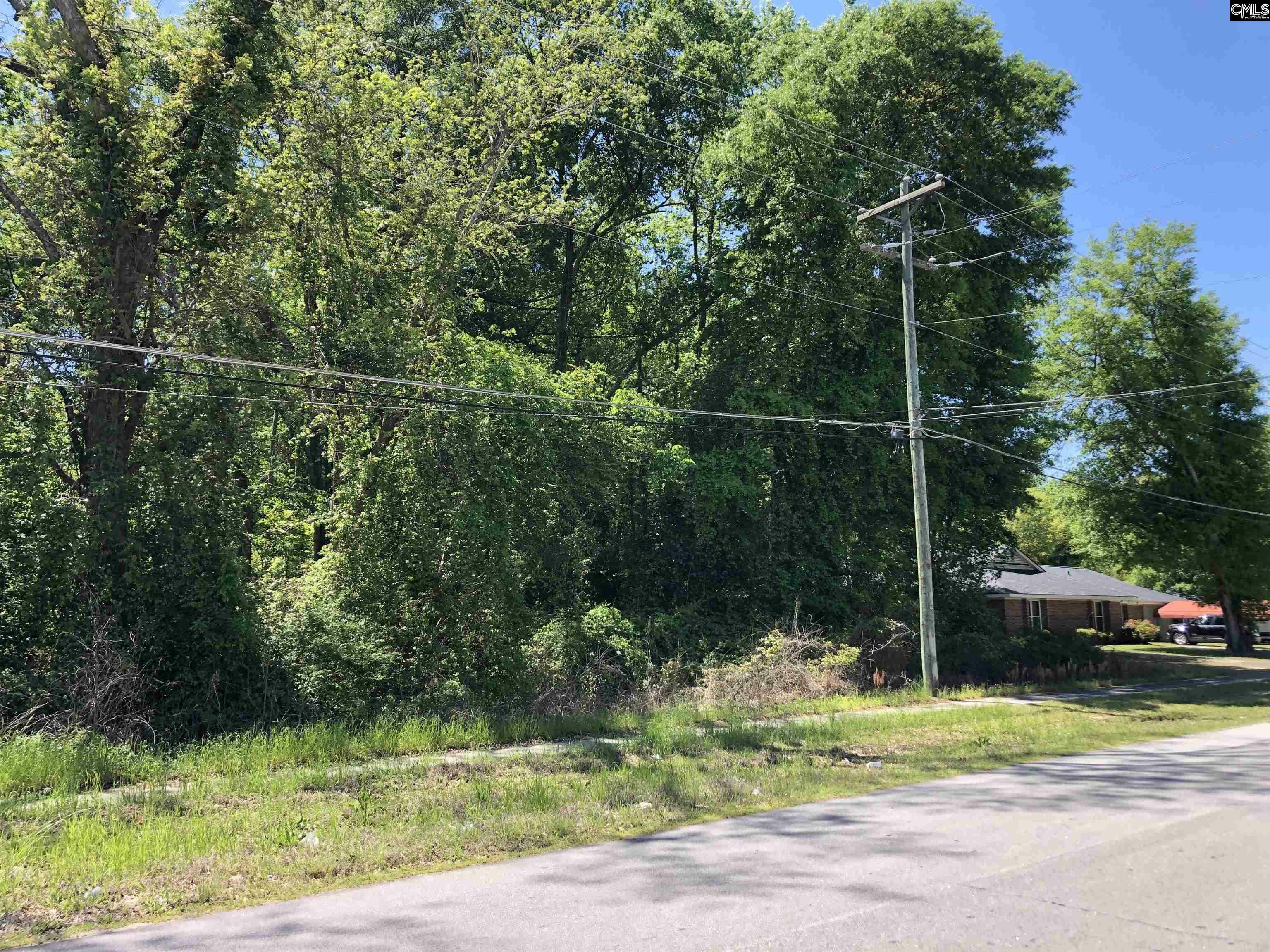 Property Photo: 0 Hampton SC 29042