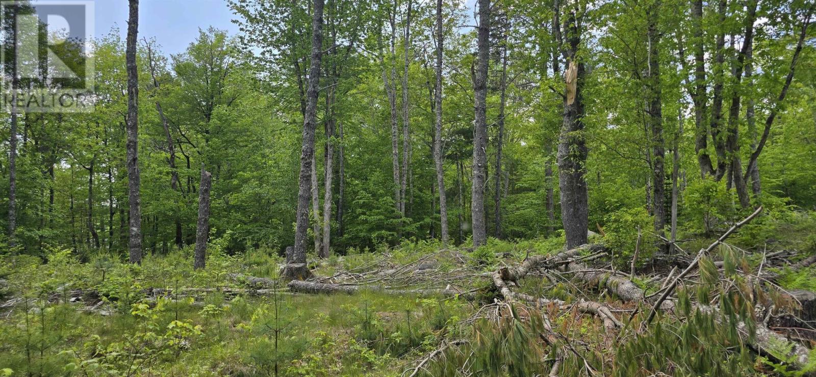Property Photo:  Lot 24-6 East Clifford Road  NS B4V 7R8 