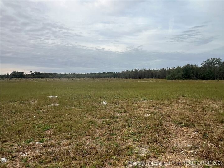 Property Photo:  3949 Blue Springs (Lot 2) Road  NC 28377