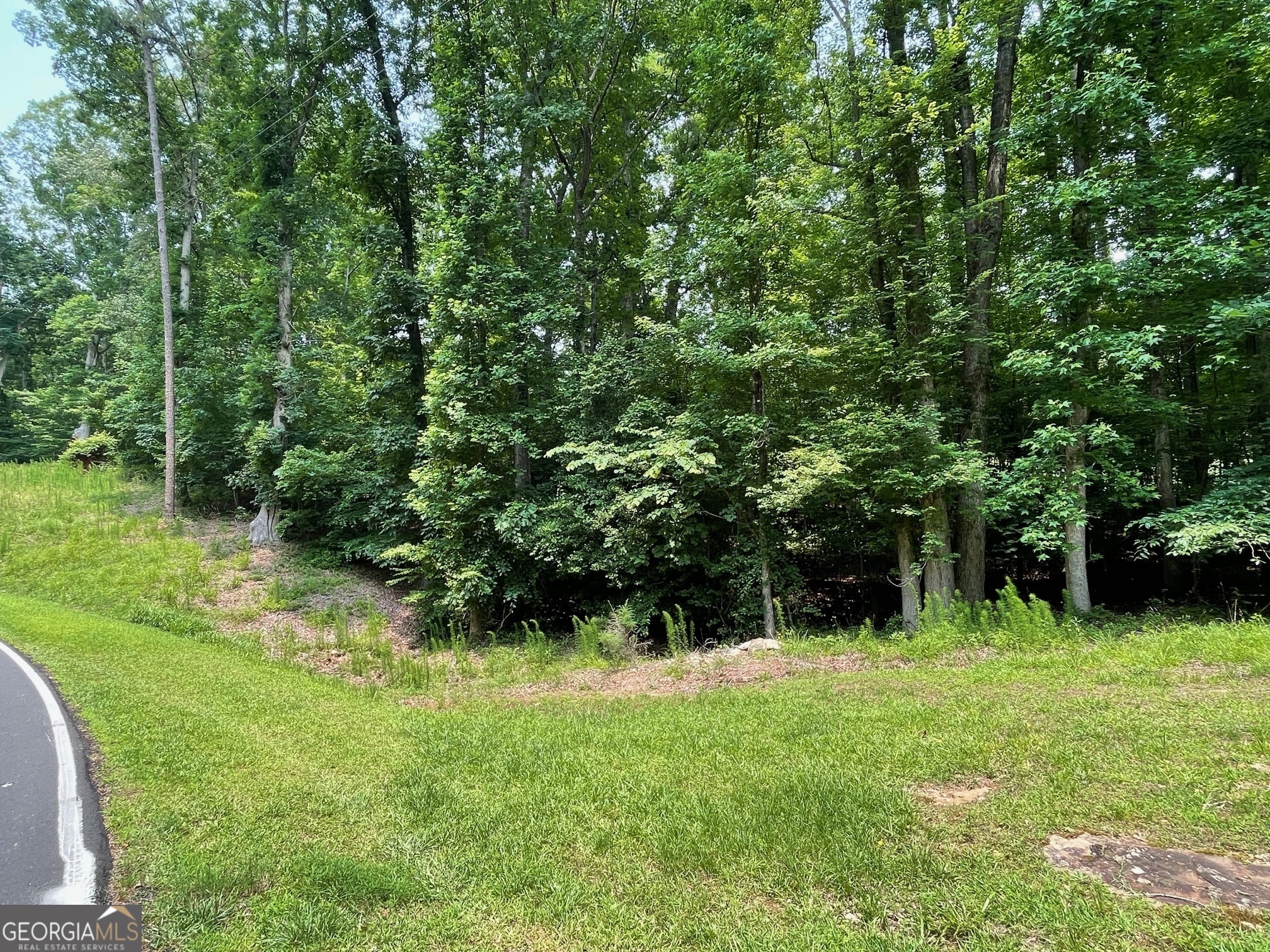 Property Photo: Lot 784 S Hogan Drive SC 29693