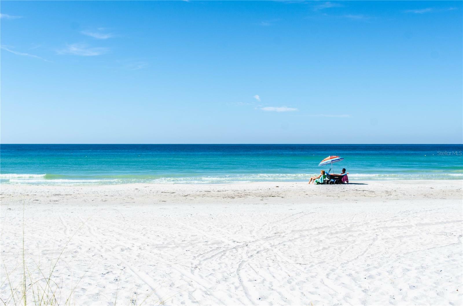 Property Photo:  19531 Gulf Boulevard 306  FL 33785 