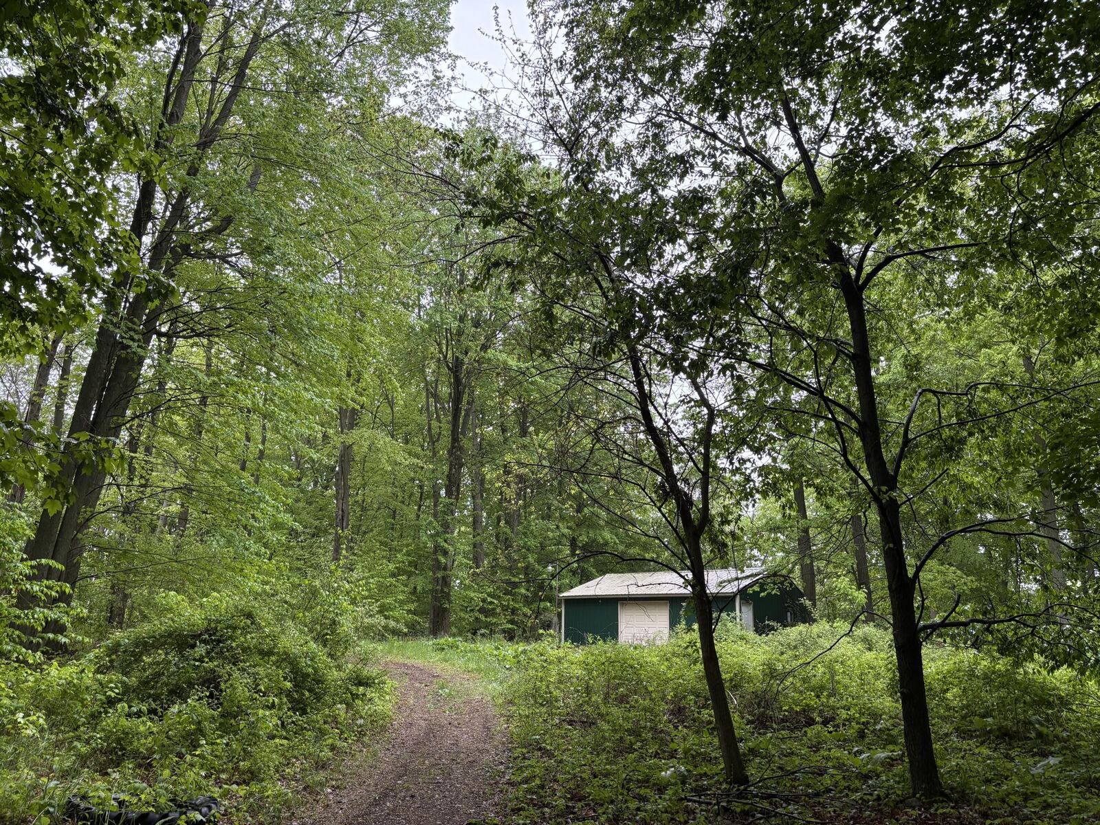 Property Photo: 5220 Park Drive MI 48886