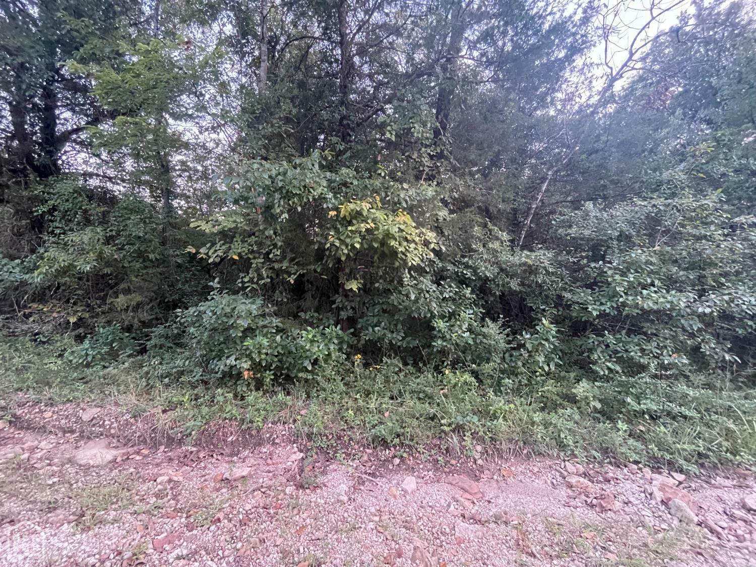 Property Photo: 1 Canary Lane AR 72630