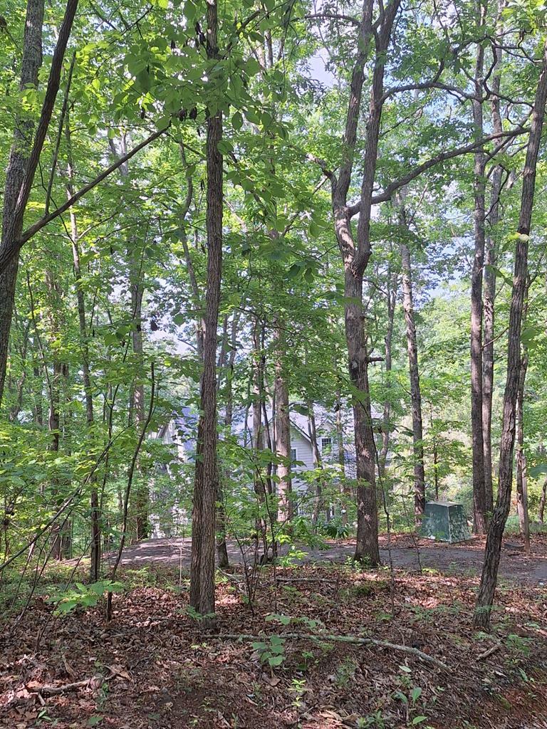 Property Photo:  0 Sunrock Mountain Trc  GA 30513 