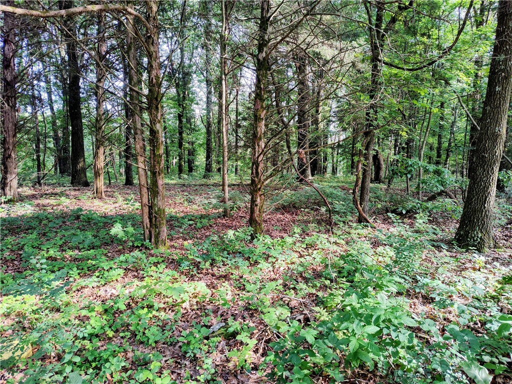 Property Photo:  Taylor Barnett Road  AR 72732 