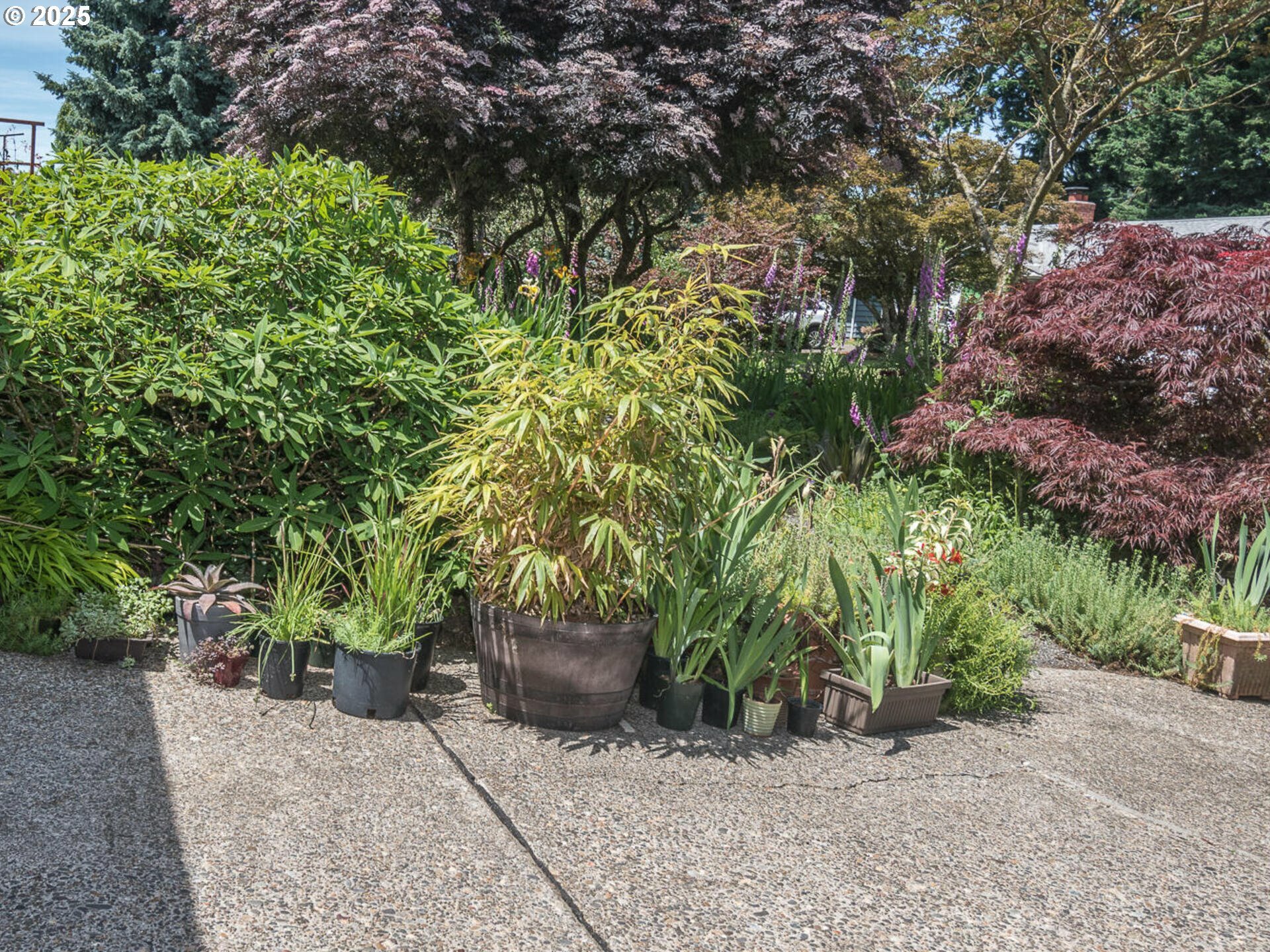 Property Photo: 17758 SE Washington St OR 97233