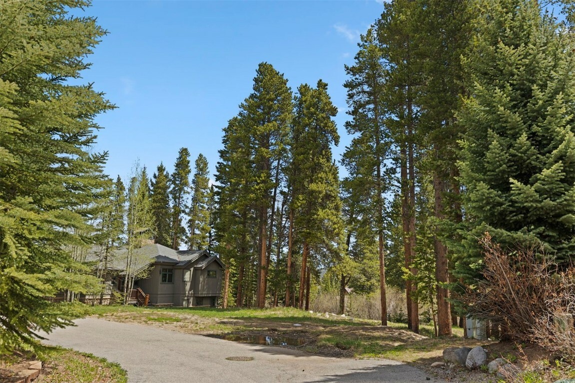 Property Photo: 28 Tall Pines Drive CO 80424