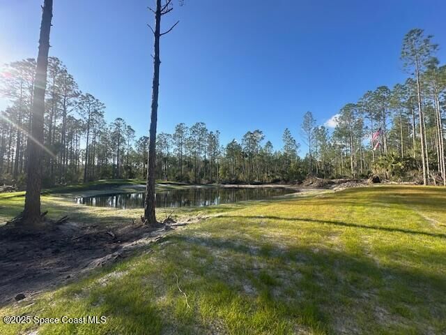 Property Photo:  0000 Unknown  FL 32754 