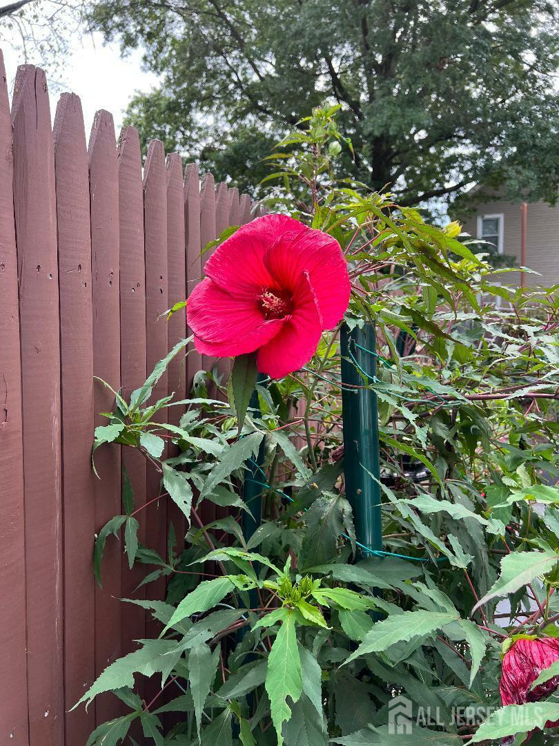 Property Photo: 20 N Talmadge Street N NJ 08901
