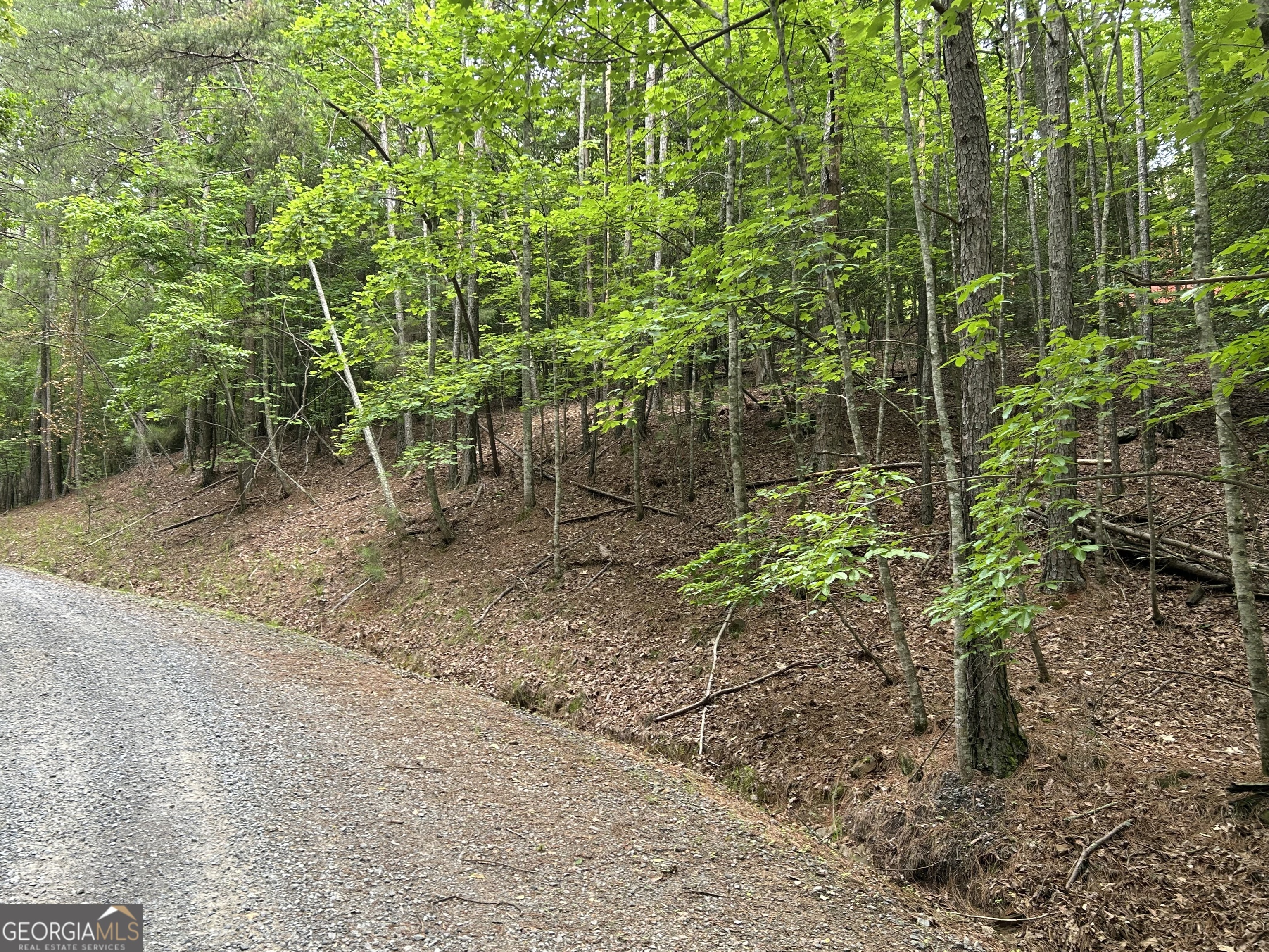 Property Photo: Lt2788 Medina Court GA 30540