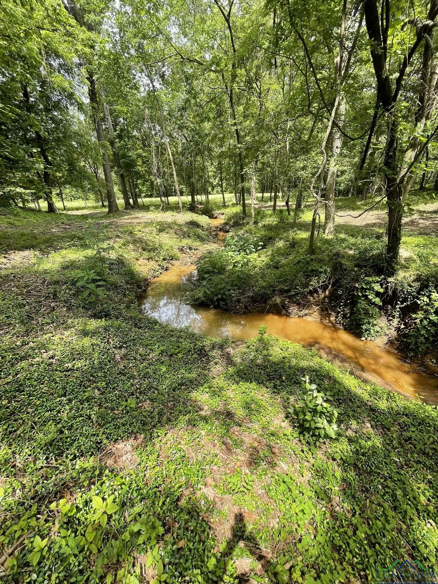 Property Photo:  9.276 Ac Mockingbird-Inverness  TX 75601 