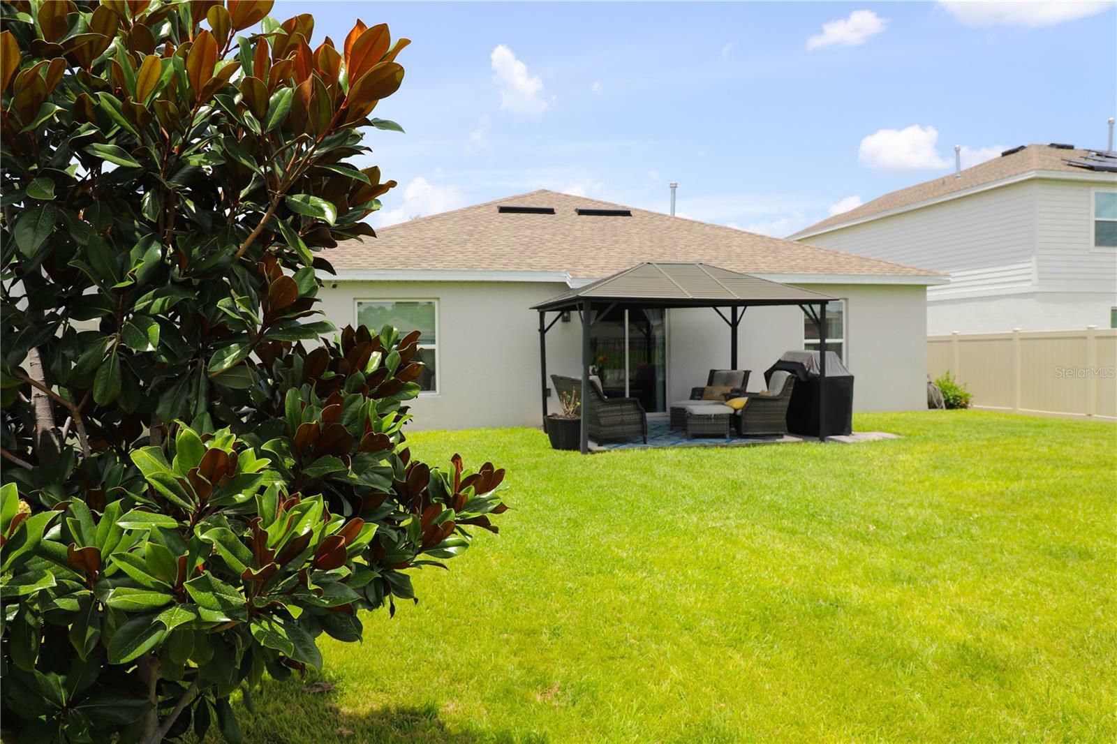 Property Photo: 33647 Sky Blossom Circle FL 34788