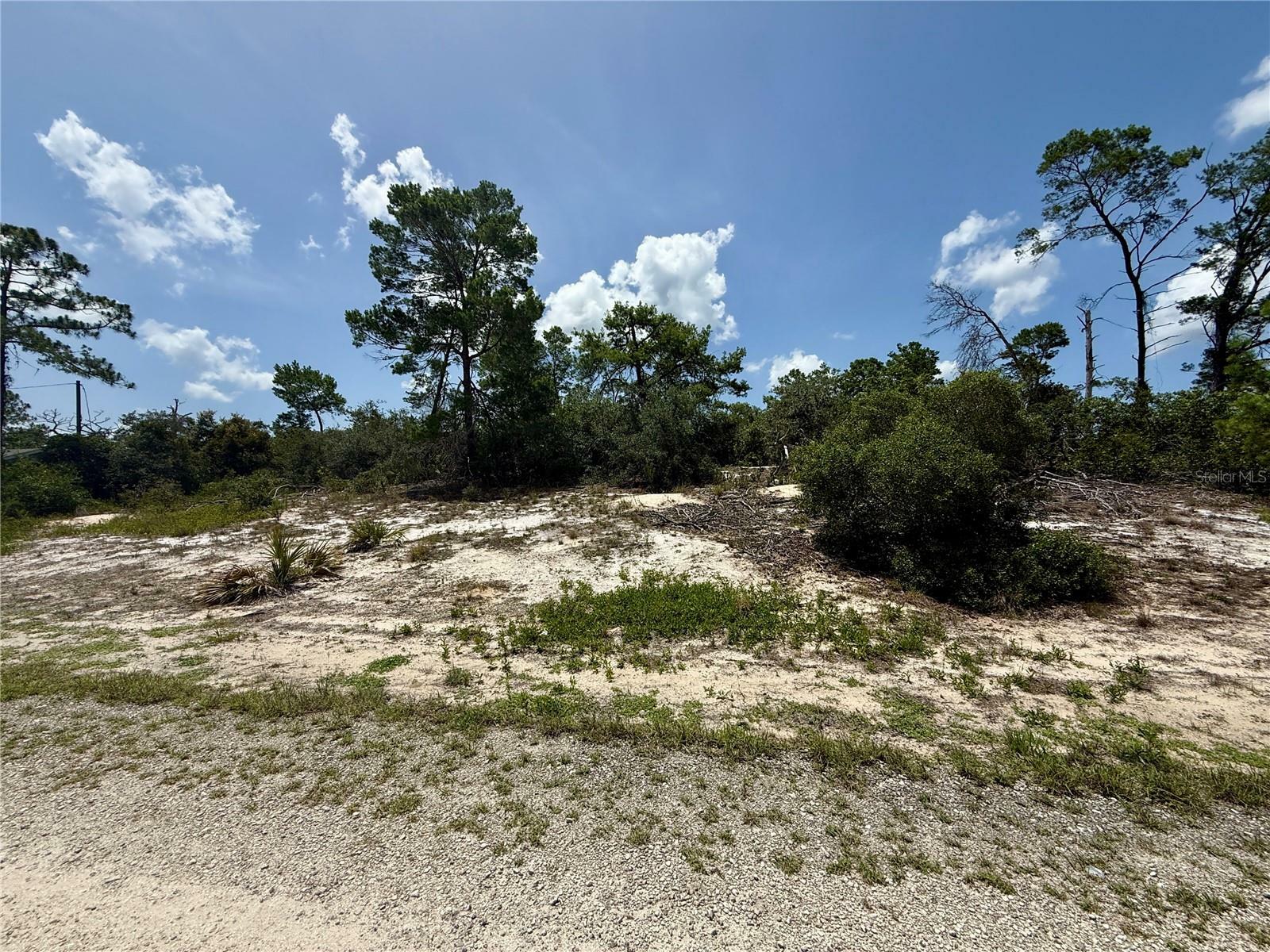 Property Photo: 454 Apple Blossom Court FL 33852