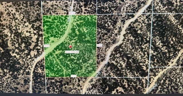 5071 Mc Conneny Road  Hesperia CA 92345 photo