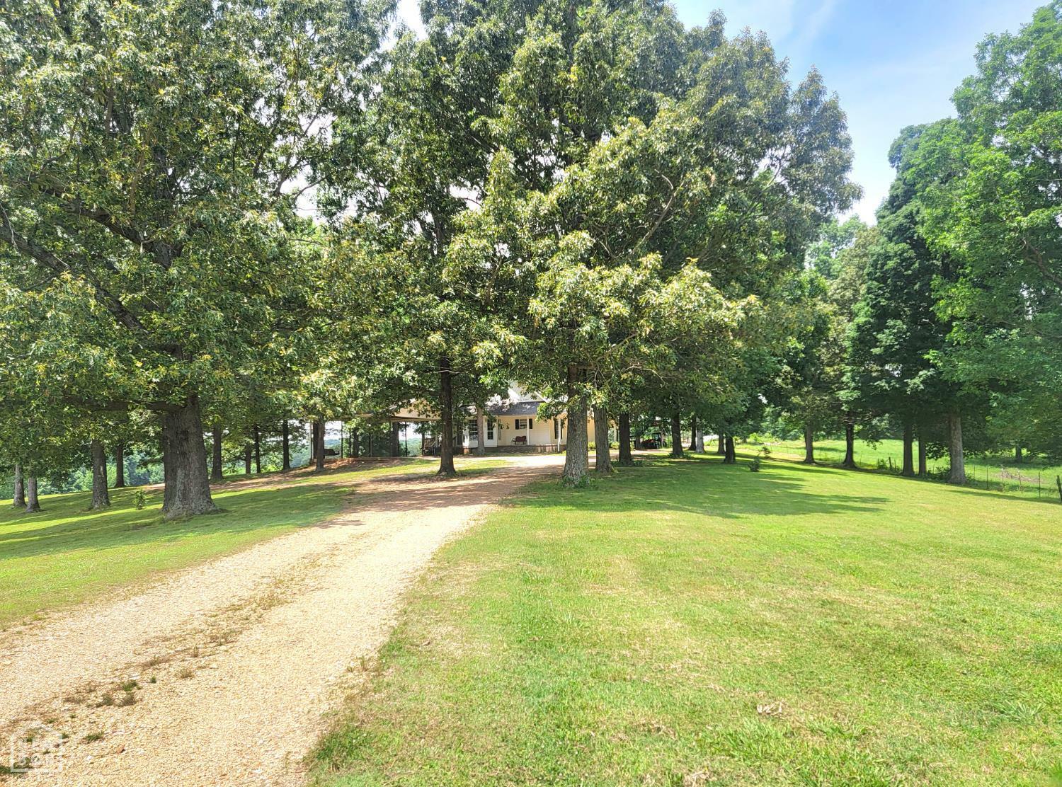 Property Photo: 1199 Greene 607 Rd AR 72412