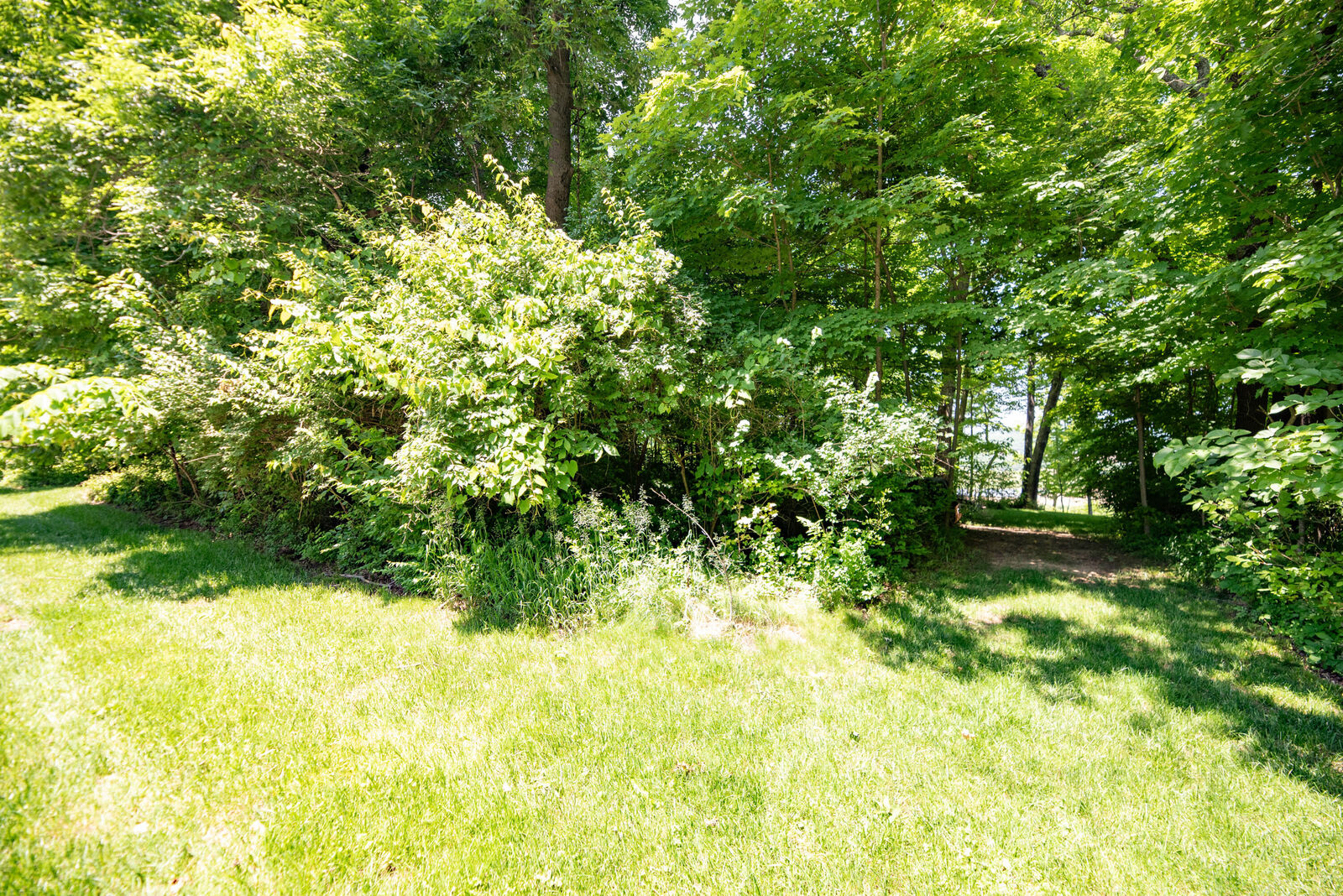 Property Photo:  29 Cottontail Trail  KY 41005 