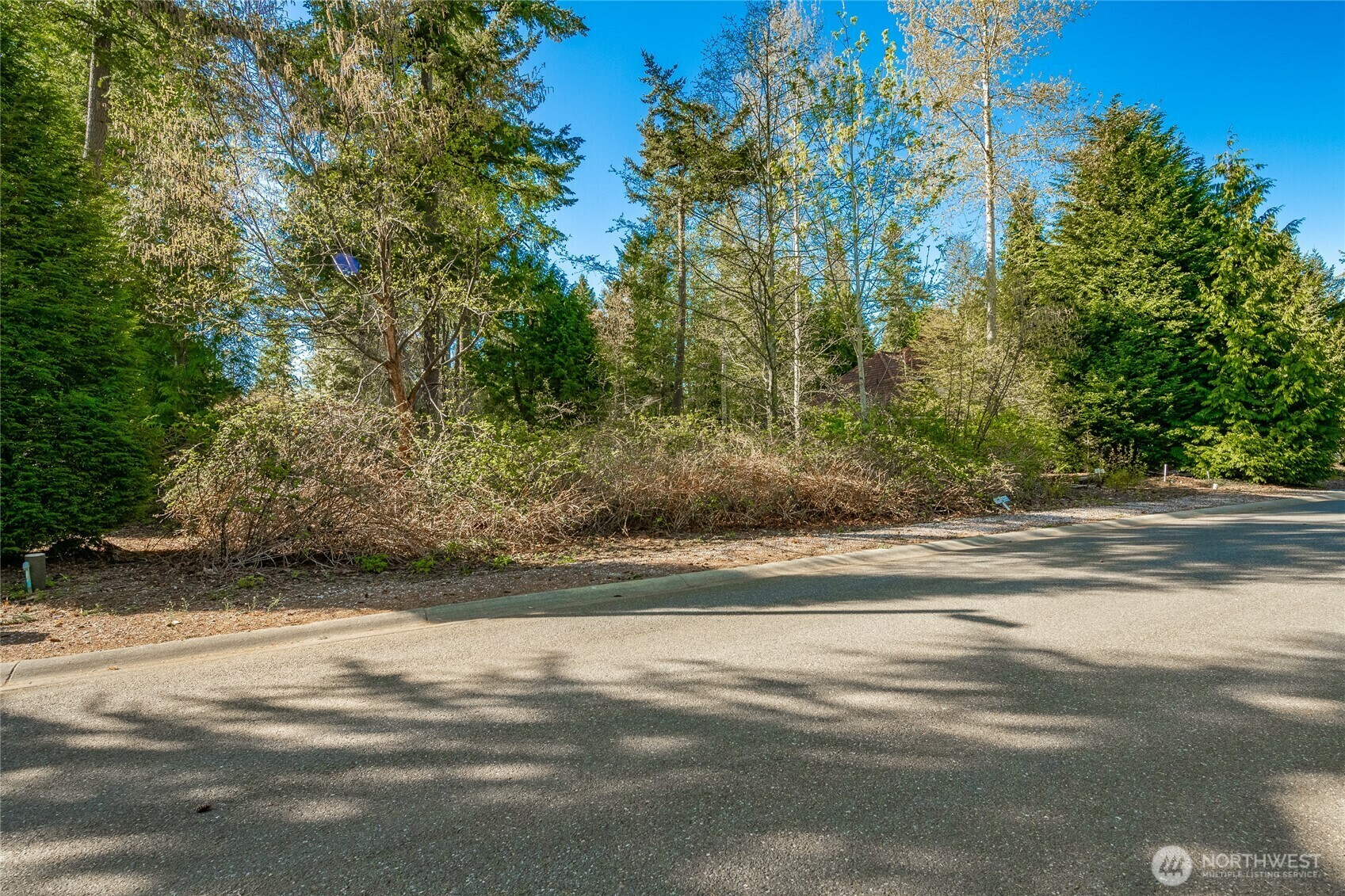 8647  Great Horned Owl Lane  Blaine WA 98230 photo