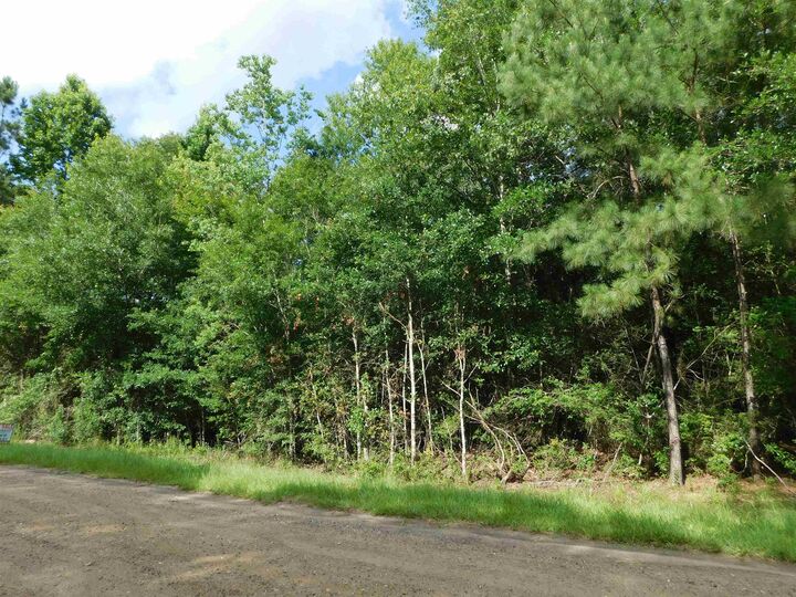 Property Photo: 000 Cravens Camp Rd Lot 21 TX 77656