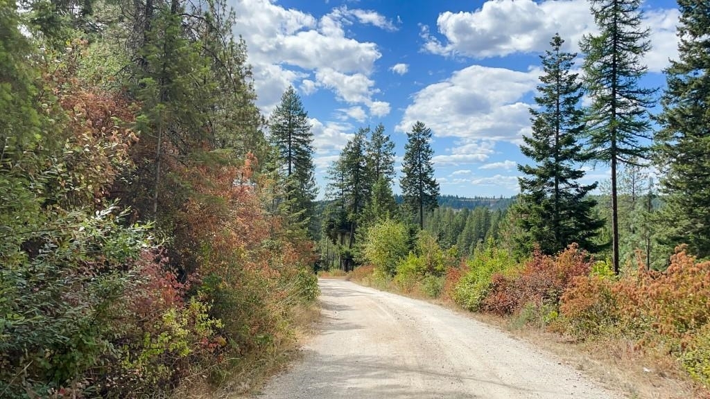 Property Photo: 11618 E Dusty Ln WA 99003