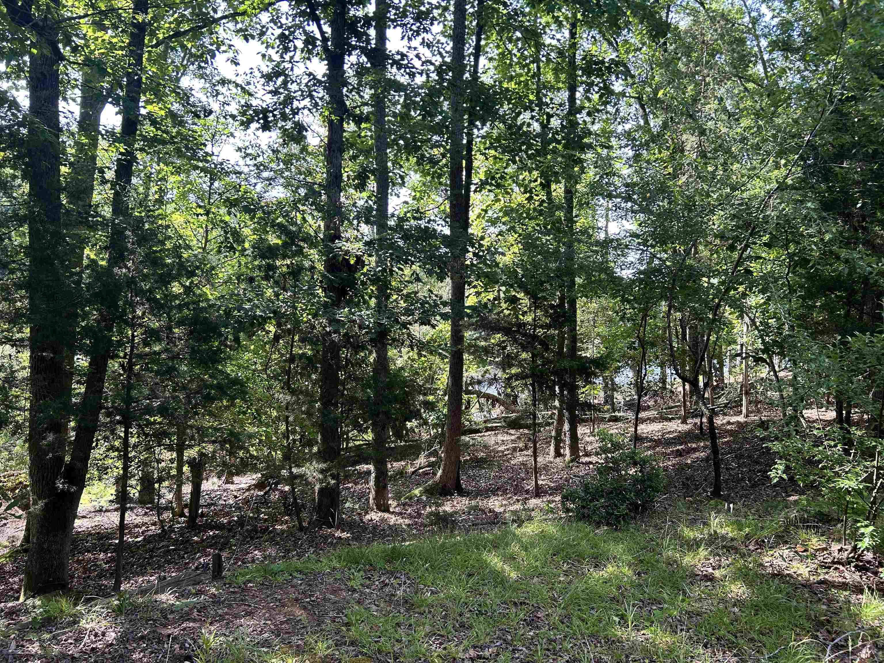 Property Photo: 141 Shoreham Road SC 29307