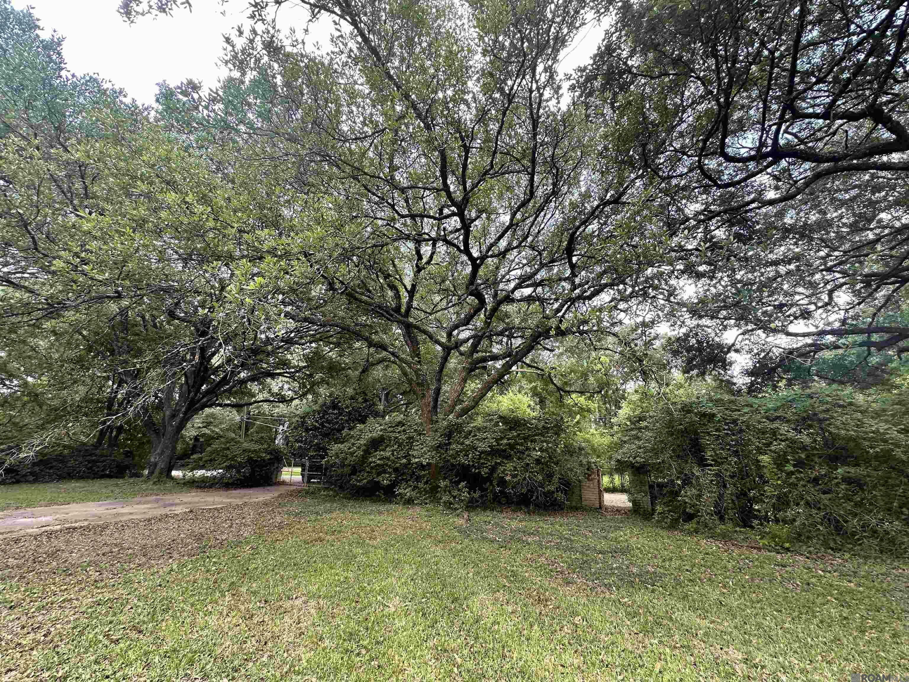 Property Photo: 2557 Riverview Dr LA 70726