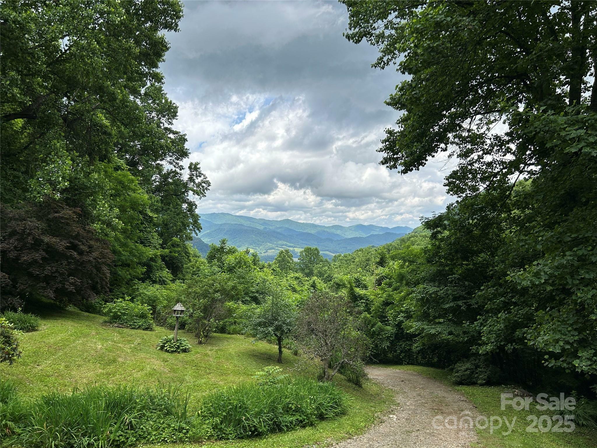 Property Photo: 687 Willow Creek Road NC 28748