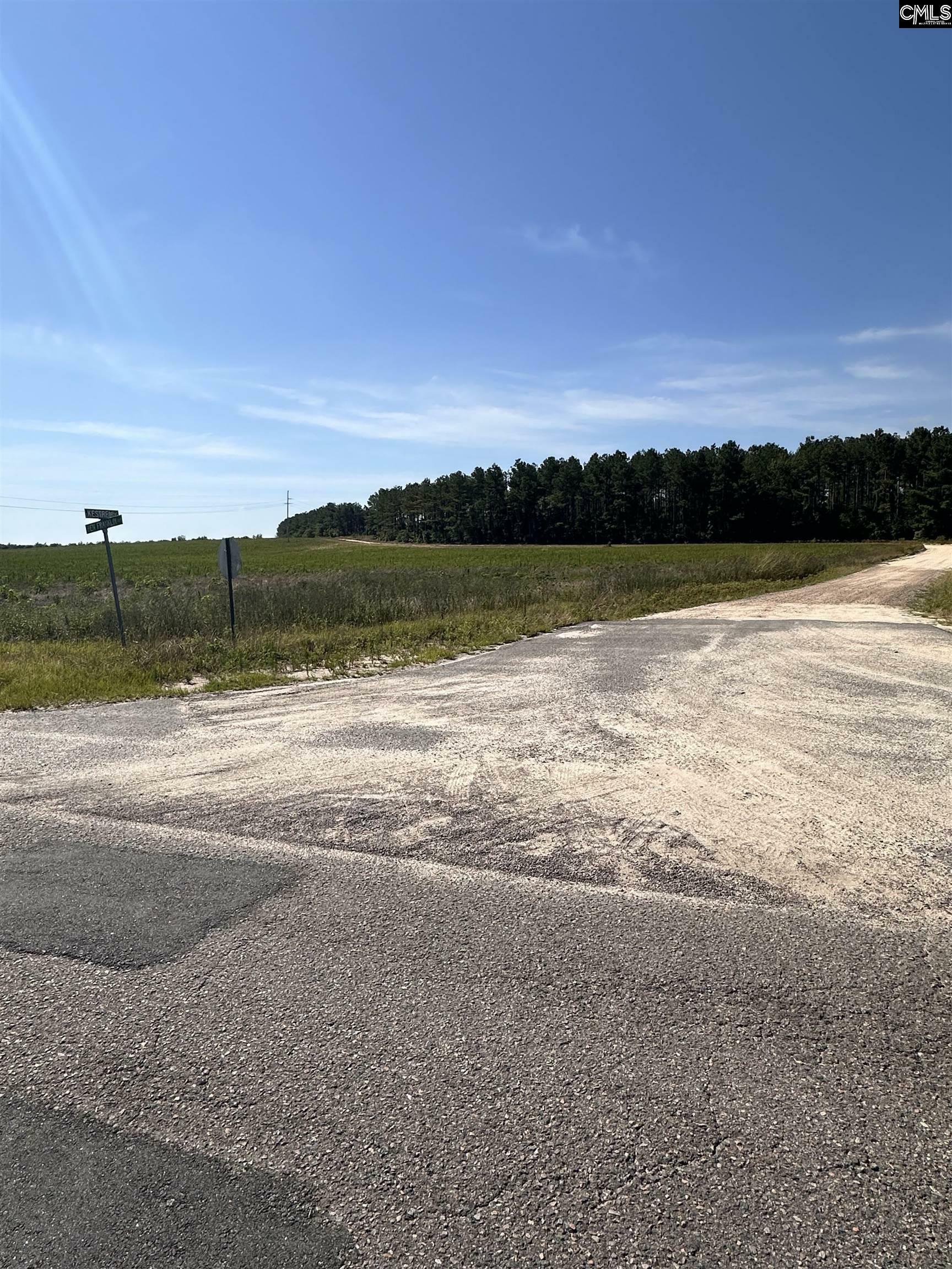 Property Photo: 000 Kestrel Drive SC 29070