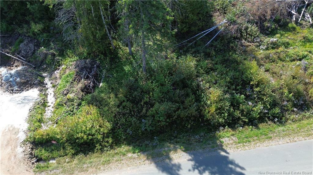 Property Photo:  Vacant Lot Cote Bleue Drive  NB E2A 4C9 