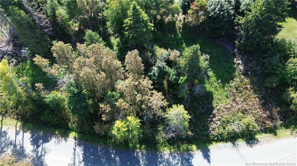 Property Photo:  Vacant Land Cote Bleue Drive  NB E2A 4C9 