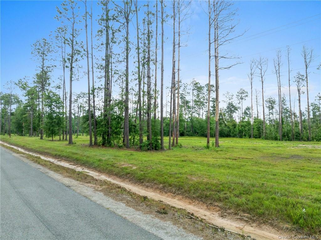 0 Tract 8 Lonnie Cole Road  Ragley LA 70657 photo
