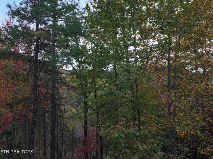 Property Photo:  Lot 18 Turkey Creek Way  TN 37862 