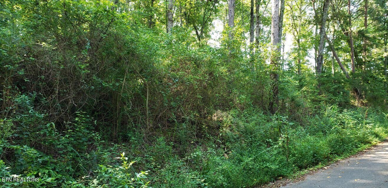 Property Photo:  4 Treeline Drive  TN 37327 