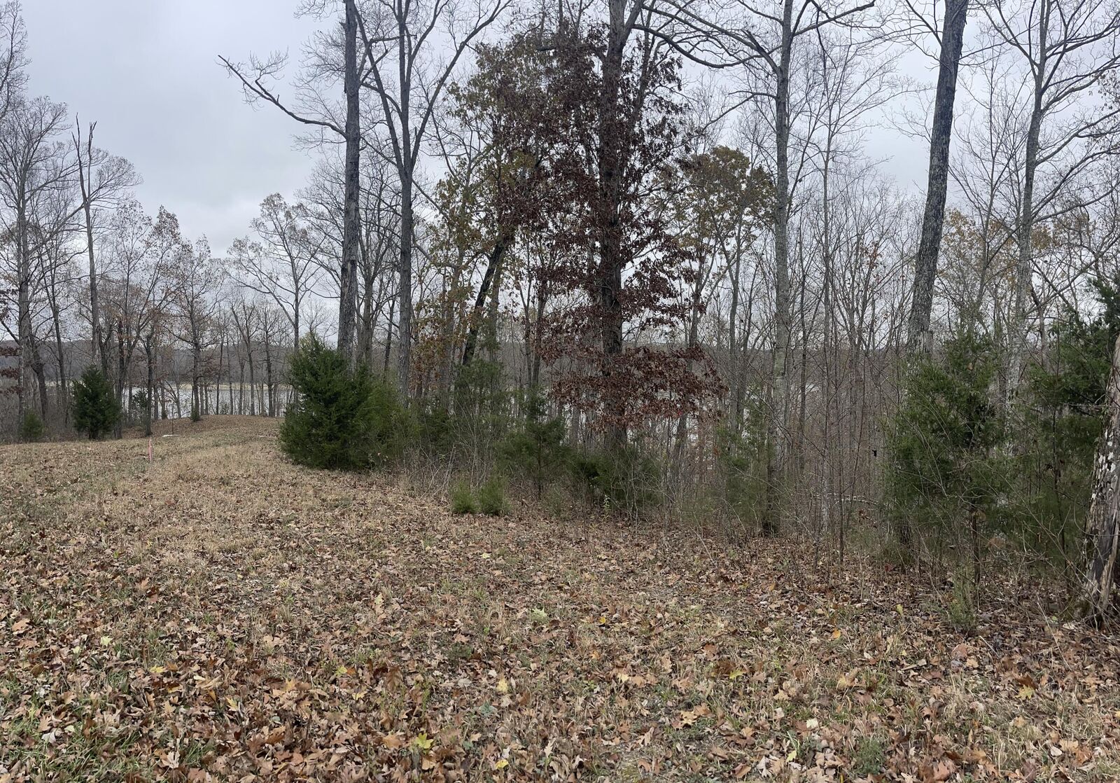 Property Photo: Lot 28 Cumberland Shores KY 42633