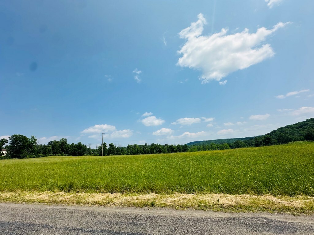 Property Photo: 0 Moore Hill Rd NY 13812