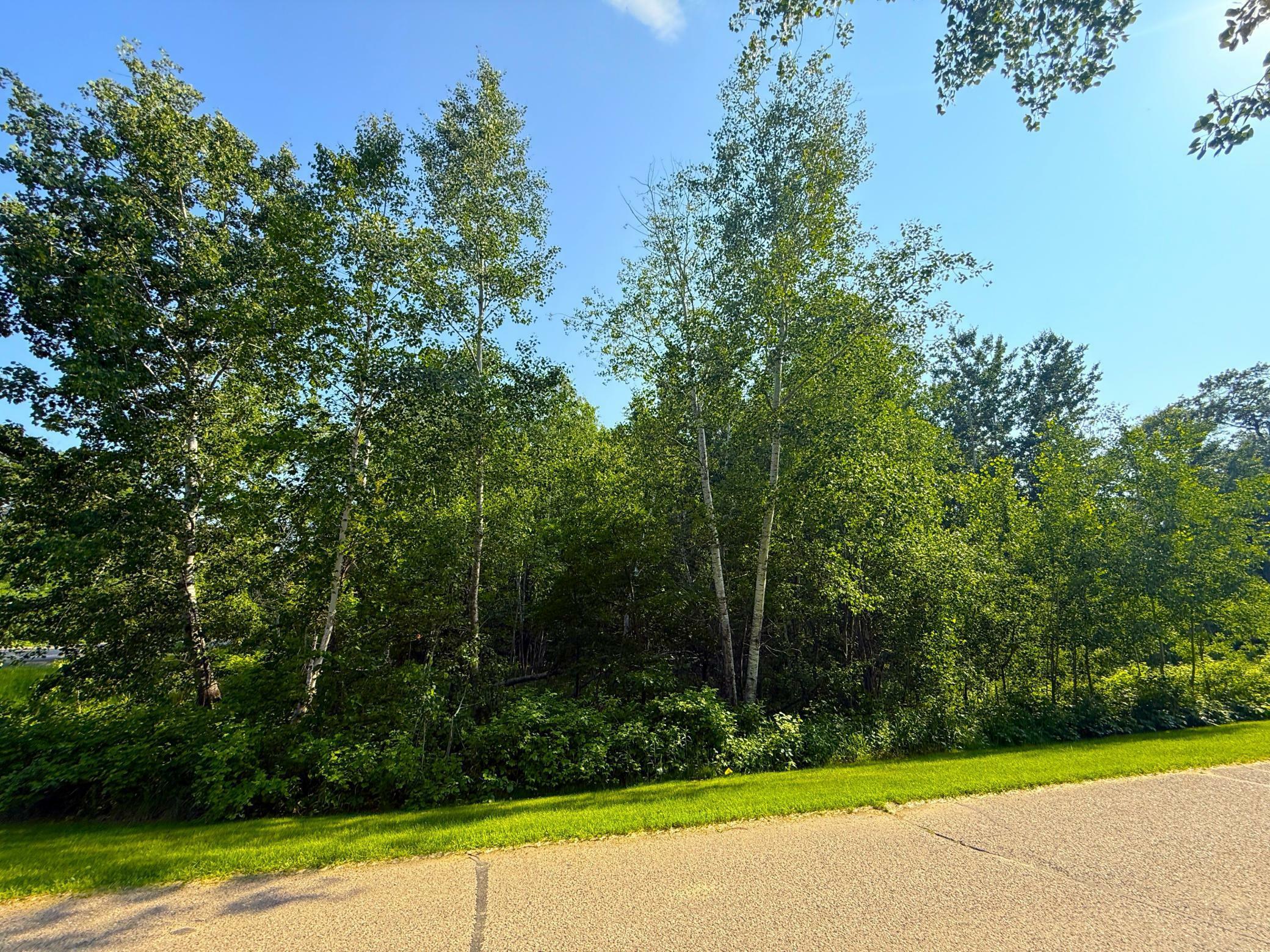 Property Photo: 000 Maplewood Drive MN 56401