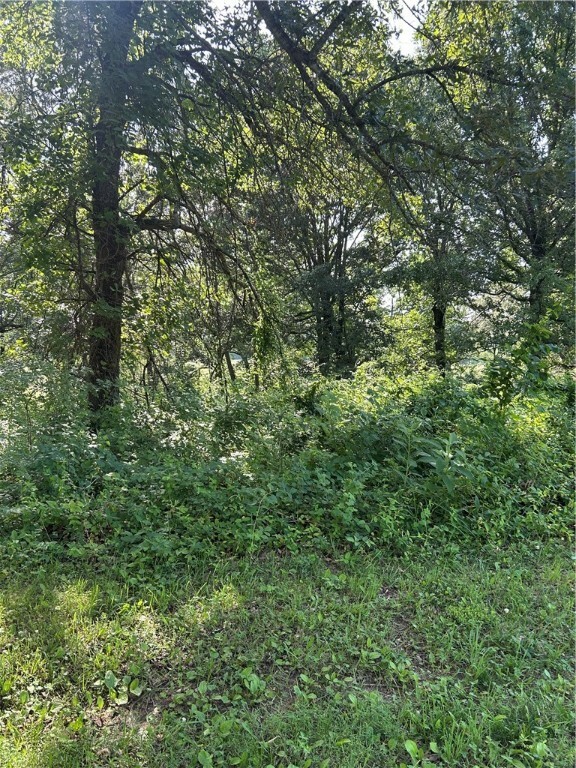 4019 Savannah Drive  Harrison AR 72601 photo