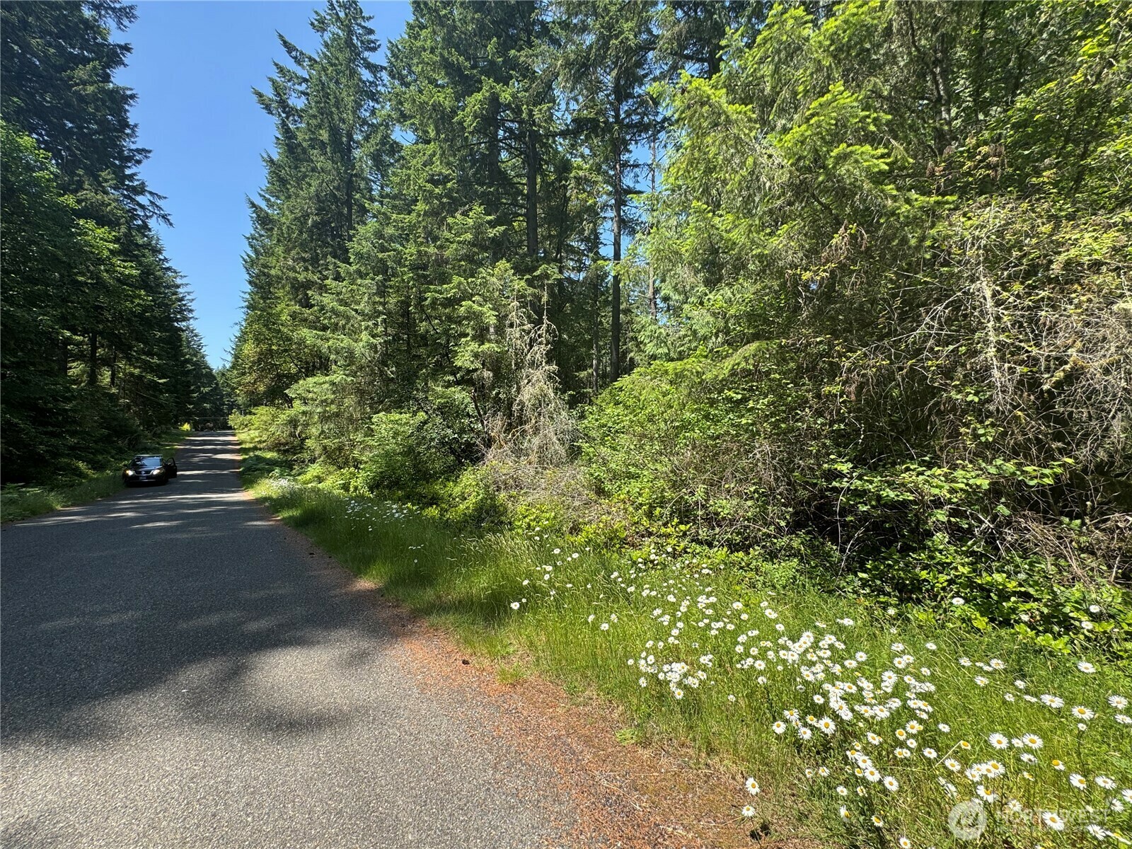 Property Photo: 11409 & 11413 Hillcrest Drive WA 98303