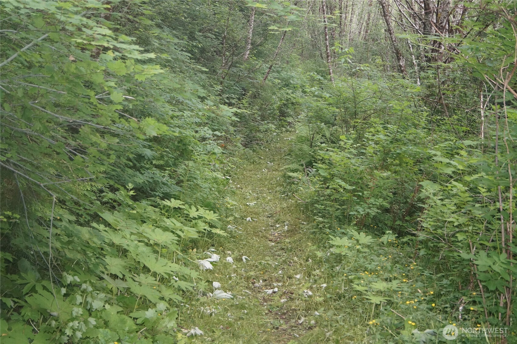 Property Photo: 0 Off Of Panhandle Road WA 98550