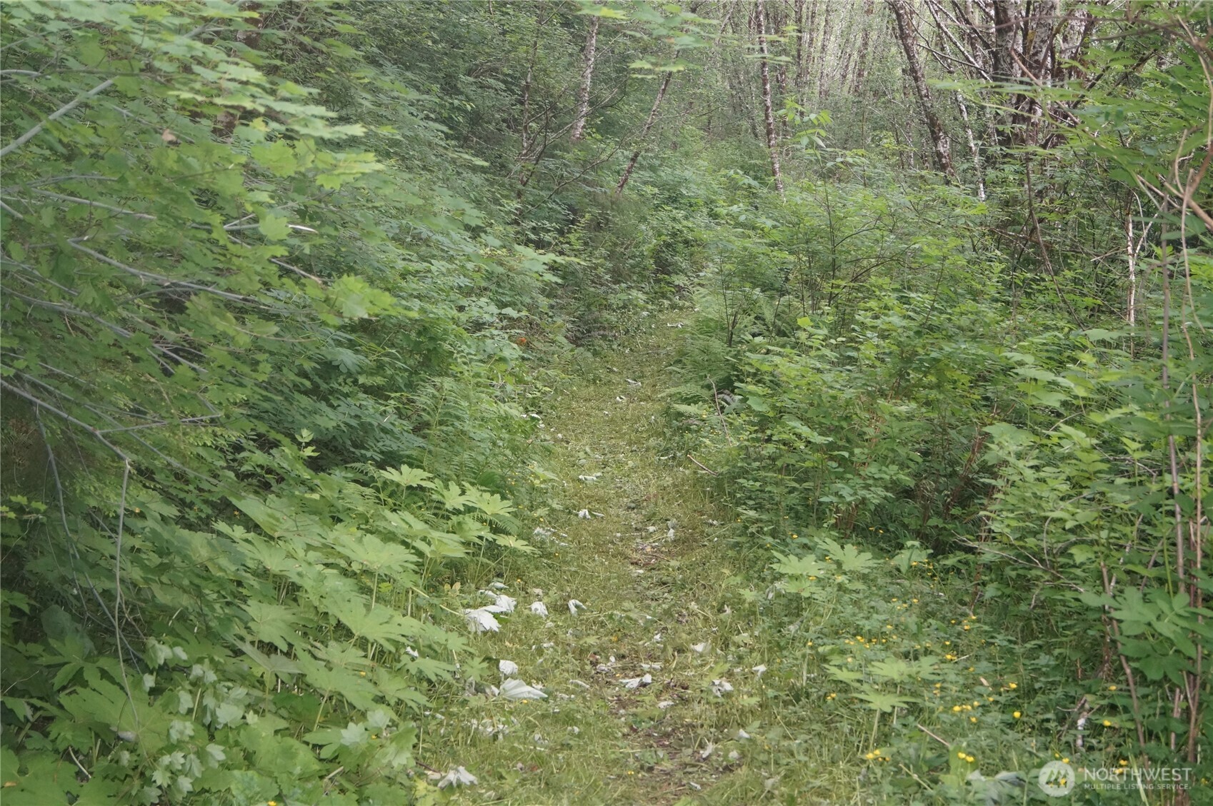 Property Photo:  0 Off Of  Panhandle Road  WA 98550 