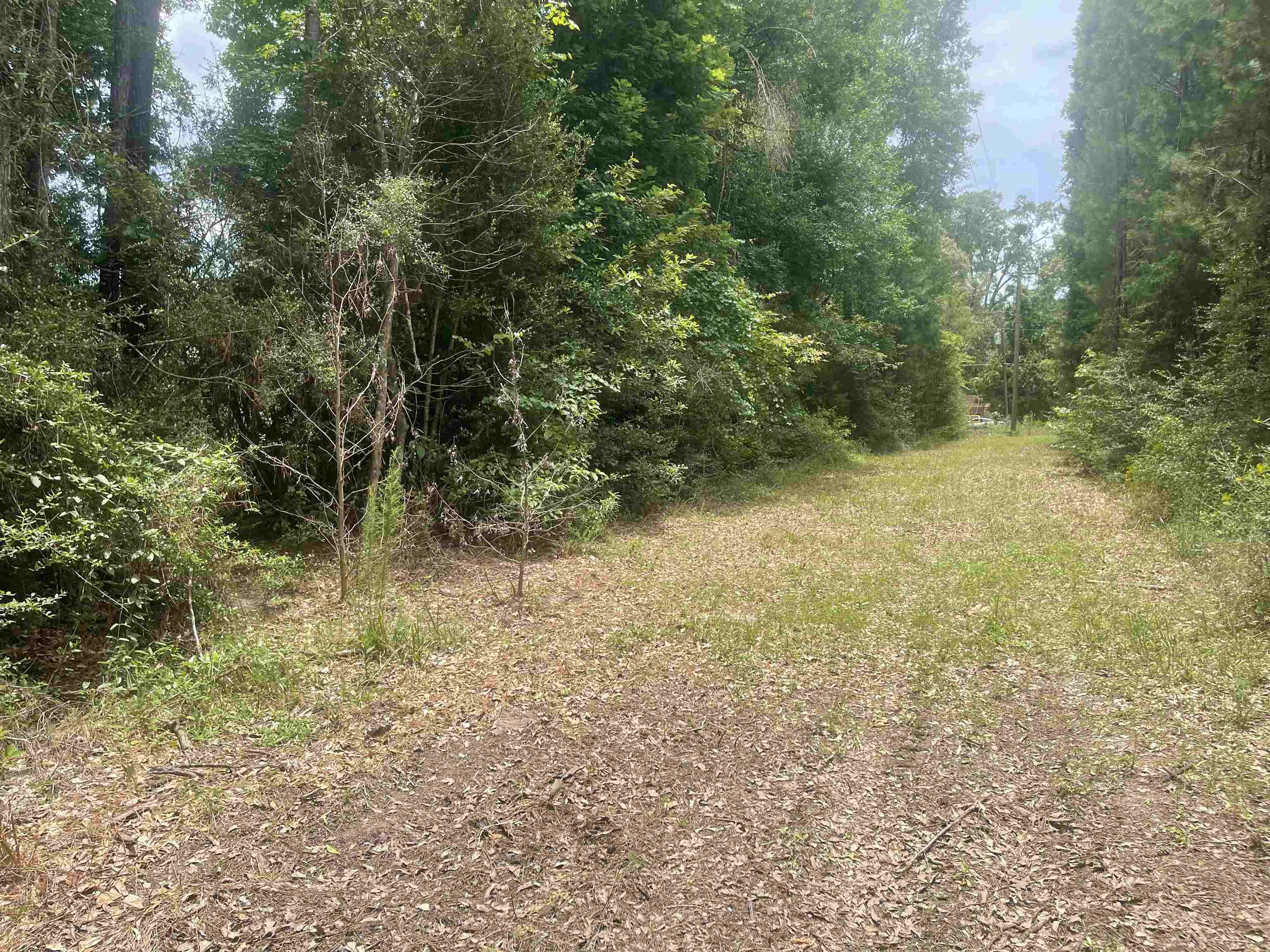 Property Photo: