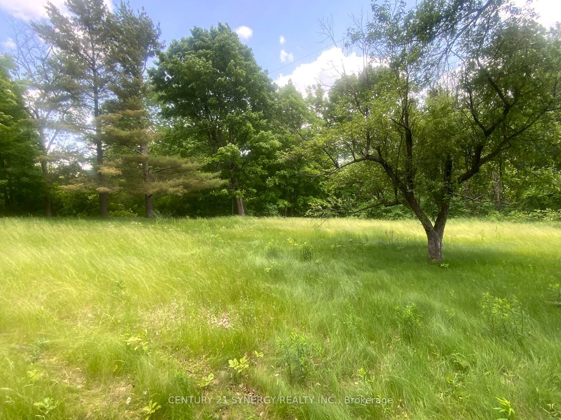 Property Photo: 22819 7 Highway ON K0H 2P0